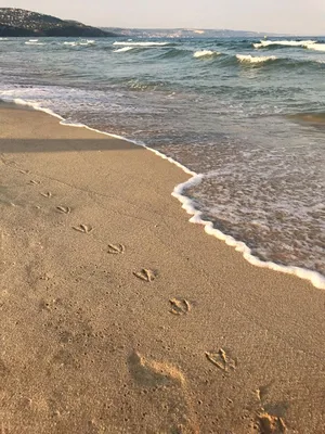 ✨ИДЕИ ДЛЯ ФОТО НА МОРЕ Честно признаюсь, я так завидую тем, кто сейчас на  море... мне недели в Сочи оказалось мало( Поэтому, это… | Instagram