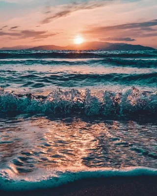 Возле моря (81 фото) »