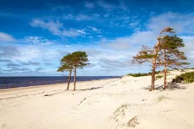 Картинка пляже Море Лето Природа Небо 2560x1706