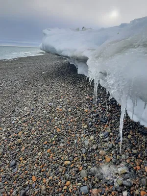 картинки : пляж, море, воды, человек, люди, девушка, играть, утро, отпуск,  весна, Ребенок, время года, Дети, фотография, Красоту, образ,  Взаимодействие, Человеческие позиции 2721x2720 - - 449454 - красивые  картинки - PxHere