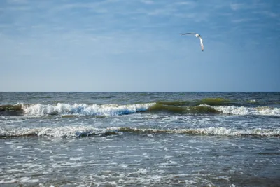 Где находится море в Калининграде -