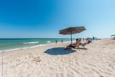 20 интересных вещей, которыми можно занять себя на пляже - туристический  блог об отдыхе в Беларуси