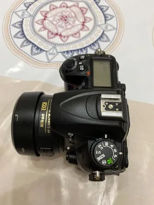 Nikon D7000. 11-летняя зеркальная камера в 2021 году. | Ванечка фотолюб |  Дзен