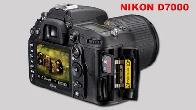 Nikon D7000. 11-летняя зеркальная камера в 2021 году | Пикабу