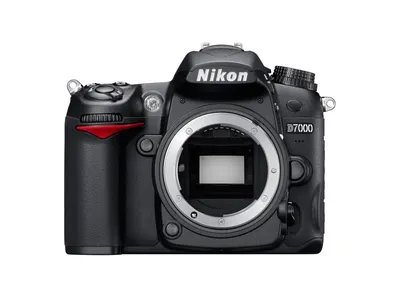 Обзор Nikon D700. Тест Никон Д700. Отзывы на работу камеры | Радожива