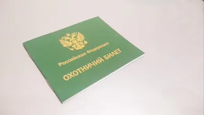 Астраханцы могут получить охотничий билет на портале Госуслуги - KP.RU