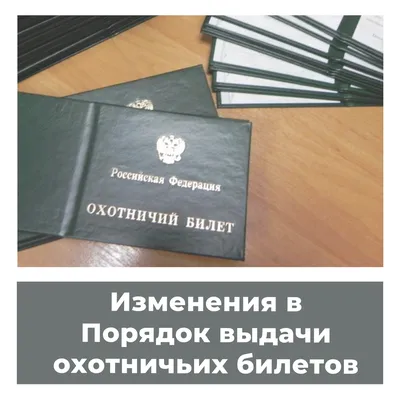 Охотничий билет будут выдавать по результатам экзаменов - Российская газета