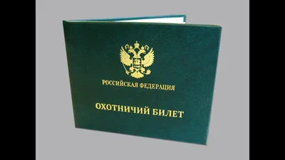 Зачем нужен охотничий билет? | Рыболов Охотыч | Дзен