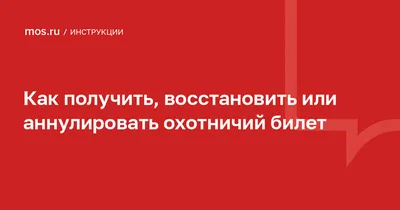 Получая охотничий билет, придется поучиться — Новости «Северного Города»