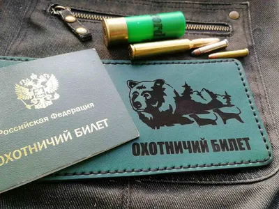 Как получить охотничий билет в России? | Поход лайфхак | Дзен