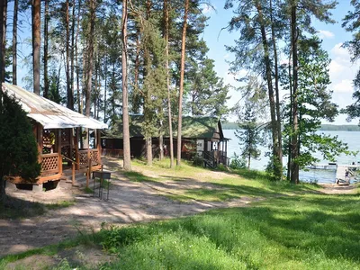 женщина спит в лесу на подушке. принцип здорового сна. отдых на природе  Стоковое Фото - изображение насчитывающей концепция, лужок: 225007040