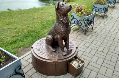 Памятник-копилка в Томске уже год помогает животным - Агентство социальной  информации