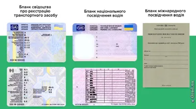 Водительские права нового образца утвердил Кабмин » Новости Одессы | ГРАД