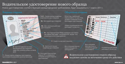 Права нового образца так и не появились?