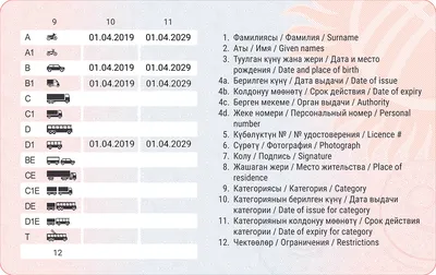 Водительское удостоверение европейского образца: как украинским водителям  получить права, адаптированные к документам ЕС