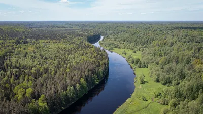 Мусор в реке стоковое фото. изображение насчитывающей побережье - 167593754