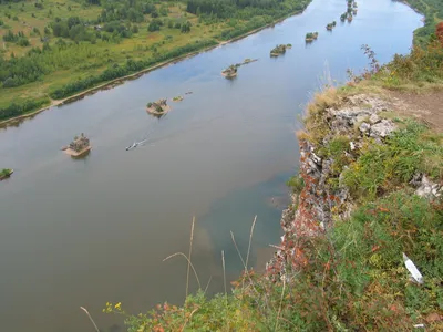 Правда ли, что реке Припять угрожает экологическая катастрофа?