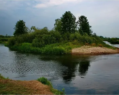 Сплав по реке Дон. Река в Европейской части России.