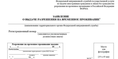 Новинка 2023 года: РВП в целях получения образования и почему это —  отличная новость для иностранных студентов | БОЛЬШОЕ ДЕЛО - юридические  услуги в Орле, Туле и Калуге, удаленно по России | Дзен