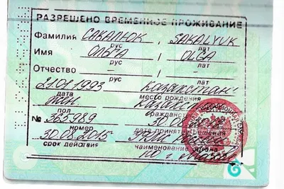 Переезд в Казахстан в 2024 году: как получить ВНЖ, РВП или РПП, какие  документы нужны