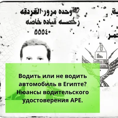 Экономист объяснила, кто вправе получать пенсию больше 30 тысяч рублей -  ПРАЙМ, 09.08.2023