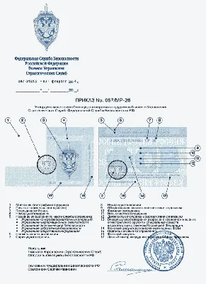 Красивые девушки в форме полиции: МВД Югры показало, какие красивые  сотрудницы работают в полиции ХМАО - 8 марта 2023 - 86.ru