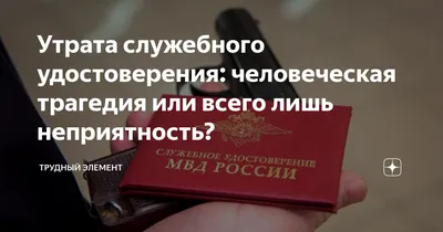 МВД Адыгеи и Союз женщин республики подписали соглашение о сотрудничестве |  ОБЩЕСТВО: События | ОБЩЕСТВО | АиФ Адыгея