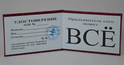 Дело не замнут\": глава МВД об аварии с пьяной судьей в Киеве — УНИАН