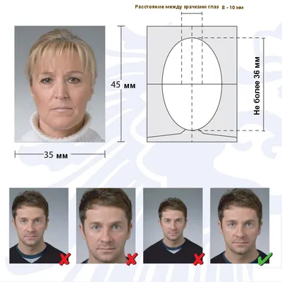 Фото на визу в Латвию: требования 2024 года