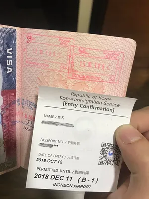 Нужна ли виза в Южную Корею для россиян в 2024 году: как оформить  самостоятельно таможенные правила виды виз для несовершеннолетних