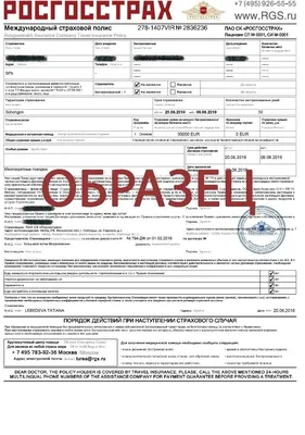 Правила въезда в Португалию в 2024 году для россиян: можно ли получить визу,  как попасть из России