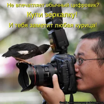 ✖️M O B I L E✖️ Не все фото в моём профиле сделаны на зеркалку. • • • • •  #mobilephotography #mobilephoto #фотонателефон #tvoy_voronezh… | Instagram