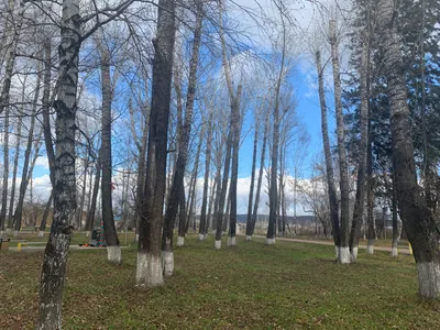 Один из первых: Николай Нагих поздравил в Усолье дочь героя » Городской  портал Усолье-Сибирское