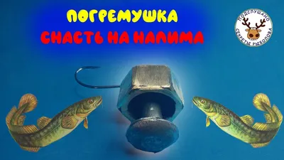 GalAVl.ru - Ловля налима в декабре на Рыбинке на тюльку, Как правильно  насаживать и ловить налима на мормышку-стукалку(джиг-головку)