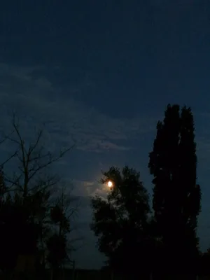 Звездное небо луна ночью и зеленая трава в сельской местности ландшафта  природы на поля Стоковое Изображение - изображение насчитывающей лунно,  черный: 213284229