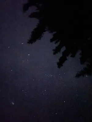 Зимнее небо ночью (51 фото) - 51 фото