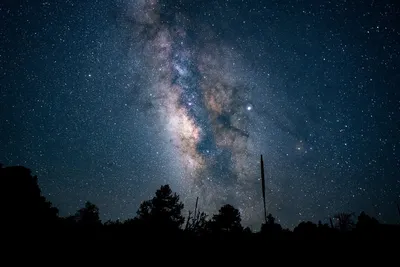 Бесплатное изображение: Стрельба, деревья, ночь, ночное небо, звезды