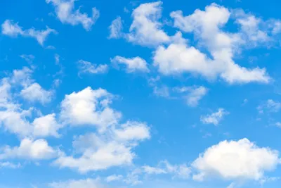 Фотообои на стену Голубое небо с облаками - Разное Разное Разное