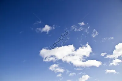 девушка на пшеничном поле на фоне неба фотография Stock | Adobe Stock