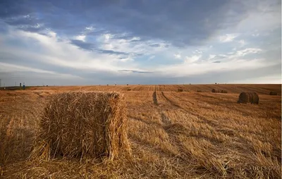 Высокое Разрешение Фото Красивых Летнее Небо — стоковые фотографии и другие  картинки 2015 - 2015, Без людей, Белый - iStock