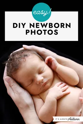 Newborn and Baby Photography Newborn Gallery - Karen Wiltshire Photography