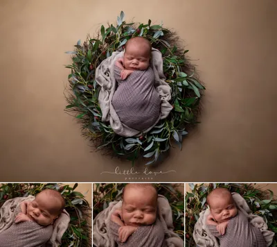 Newborn Photoshoot for Girls · Crabapple Photography
