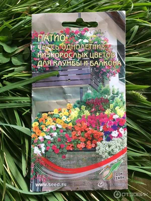 Profito design - Чек лист низкорослых цветов ✓ Низкорослые цветы: ⠀ 🌺  Барвинок малый⠀ 🌼 Ацена⠀ 🌺 Пупочник весенний⠀ 🌼 Колокольчик карпатский⠀  🌺 Живучка ползучая⠀ 🌼 Герань Ренарда⠀ 🌺 Обриена⠀ 🌼 Лобулярия⠀