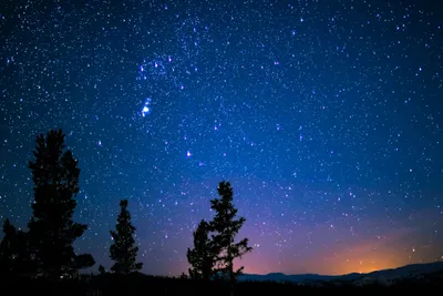Неземные светящиеся светлячки, создающие мерцающие обои ночного неба для  телефона | Премиум Фото