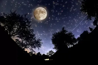 Картинки ночь луна звезды - 66 фото
