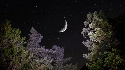 полная луна. Земля на фоне звёздного ночного неба. космический фон с земной  и спутниковой луной. Иллюстрация штока - иллюстрации насчитывающей орбита,  день: 240256003