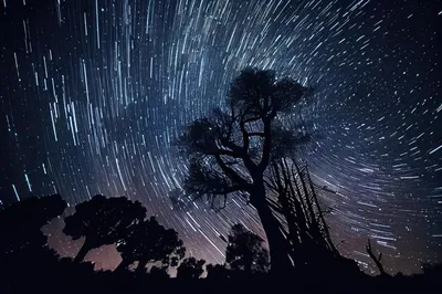 На фоне ночного неба, звездное небо выстрелили в долгой выдержки Стоковое  Изображение - изображение насчитывающей побежка, яркое: 197615397