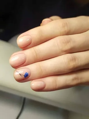 3D Наклейки на Ногти Цветы Сакуры Веточки 132 – Гель лак Mega Gel Украина