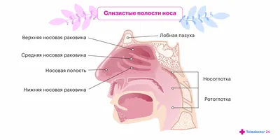 Рак носоглотки: что делать?