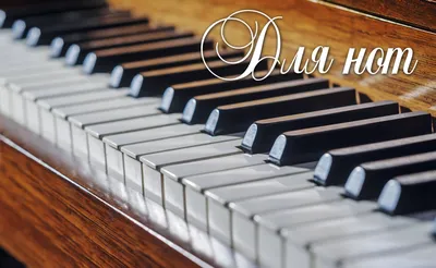 Наклейки на клавиши пианино (фортепиано), самоклеющиеся, прозрачные с  цветными названиями нот - купить с доставкой по выгодным ценам в  интернет-магазине OZON (700739023)